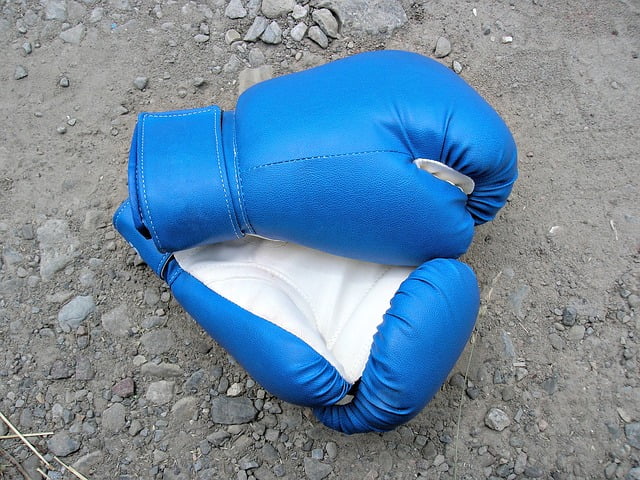 boxing-492282_640